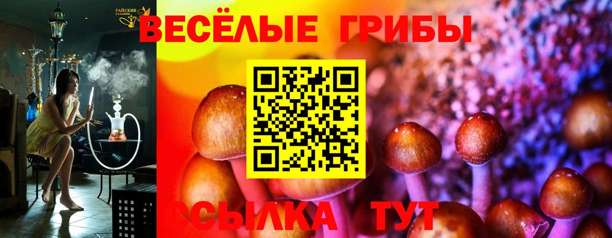 Приморско-Ахтарск  Галлюциногенные грибы ЛСД  Псилоцибиновые грибы мицелий  Вход с VPN 